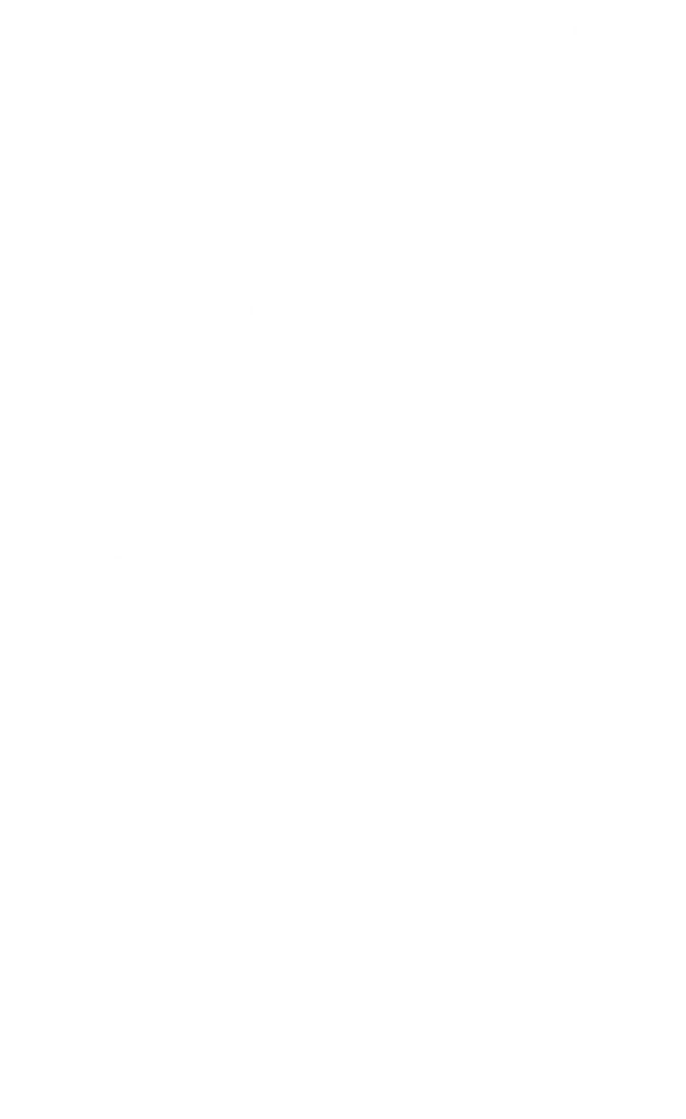 Logo Nouvel Art Gallerywhite@0.5x